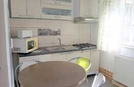 Apartament 2 camere, decomandat, 55 mp, mobilat modern, balcon, zona Iulius Mall