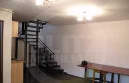 Apartament 2 camere, 50 mp, pet friendly, ultracentral, zona Sora