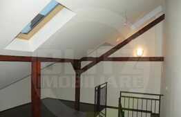 Apartament 2 camere, 50 mp, pet friendly, ultracentral, zona Sora