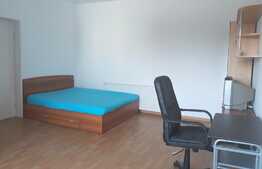 Apartament 1 camera, 43 mp, decomandat, prima inchiriere, parcare, zona Piata Mihai Viteazu