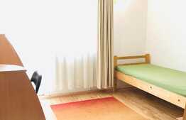 Casa cu 5 camere, cuplata, 160 mp, renovata, zona strazii Viilor
