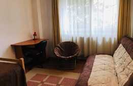 Casa cu 5 camere, cuplata, 160 mp, renovata, zona strazii Viilor