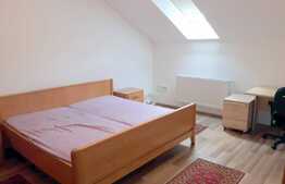 Apartament cu 1 camera, 40 mp, parcare, zona Calea Borhanciului 