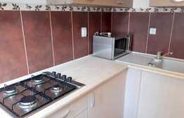 Apartament cu 1 camera, 40 mp, parcare, zona Calea Borhanciului 