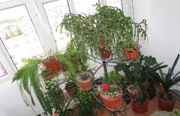 Apartament 2 camere, 52 mp, zona Big