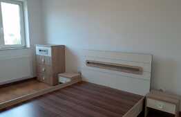 Apartament 2 camere, 55 mp, decomandat, garaj, zona strazii Corneliu Coposu