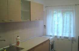 Apartament 2 camere, 60 mp, mobilat modern, zona strazii Gheorghe Lazar