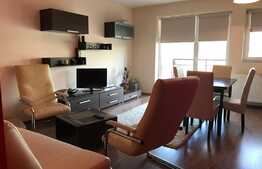 Apartament 2 camere , 48 mp, mobilat modern, prima inchiriere, parcare, zona Calea Baciului