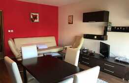 Apartament 2 camere , 48 mp, mobilat modern, prima inchiriere, parcare, zona Calea Baciului