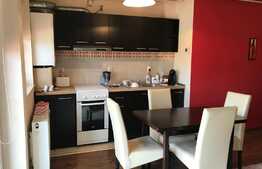 Apartament 2 camere , 48 mp, mobilat modern, prima inchiriere, parcare, zona Calea Baciului