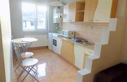 Apartament 2 camere, 43 mp! Zona strazii Stejarului!