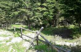 De vanzare teren in Valea Ierii