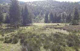 De vanzare teren in Valea Ierii