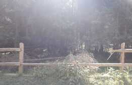 De vanzare teren in Valea Ierii