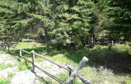 De vanzare teren in Valea Ierii