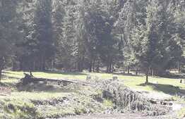 De vanzare teren in Valea Ierii