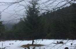 De vanzare teren in Valea Ierii