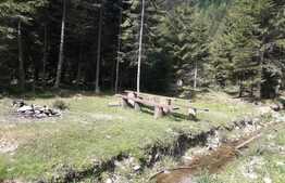 De vanzare teren in Valea Ierii