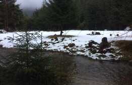 De vanzare teren in Valea Ierii