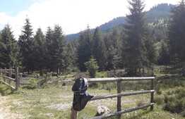 De vanzare teren in Valea Ierii