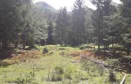 De vanzare teren in Valea Ierii