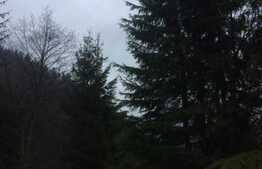 De vanzare teren in Valea Ierii