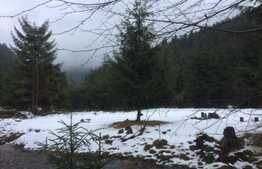 De vanzare teren in Valea Ierii