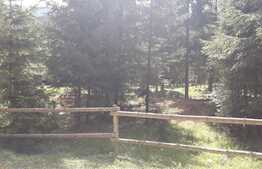 De vanzare teren in Valea Ierii