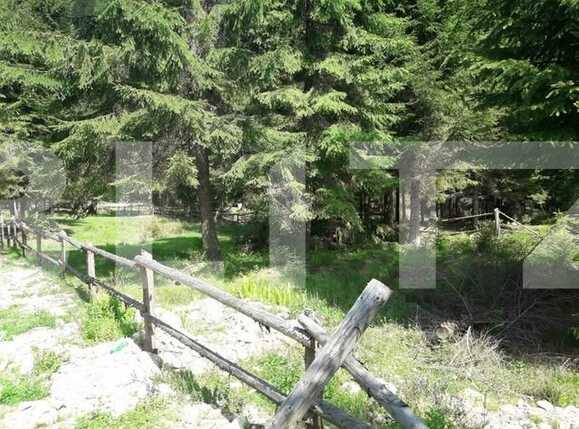 Teren de vânzare Exterior Vest - 34656TV | BLITZ Cluj-Napoca | Poza8