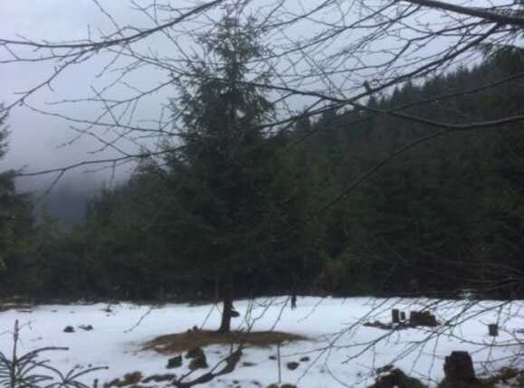 Teren de vânzare Exterior Vest - 34656TV | BLITZ Cluj-Napoca | Poza10