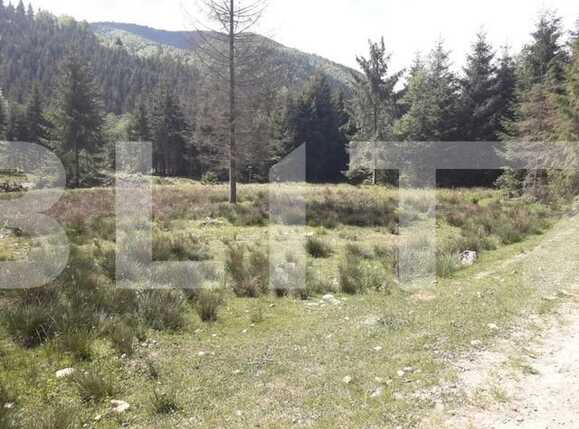 Teren de vânzare Exterior Vest - 34656TV | BLITZ Cluj-Napoca | Poza5