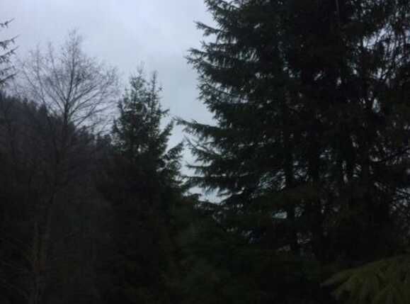 Teren de vânzare Exterior Vest - 34656TV | BLITZ Cluj-Napoca | Poza3