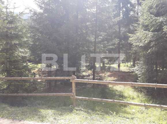Teren de vânzare Exterior Vest - 34656TV | BLITZ Cluj-Napoca | Poza16