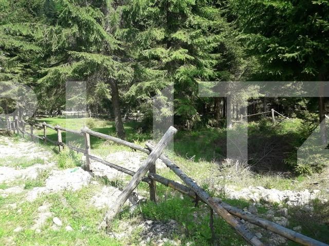 Teren de vânzare Exterior Vest - 34656TV | BLITZ Cluj-Napoca | Poza6