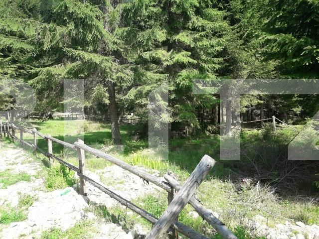 Teren de vânzare Exterior Vest - 34656TV | BLITZ Cluj-Napoca | Poza8