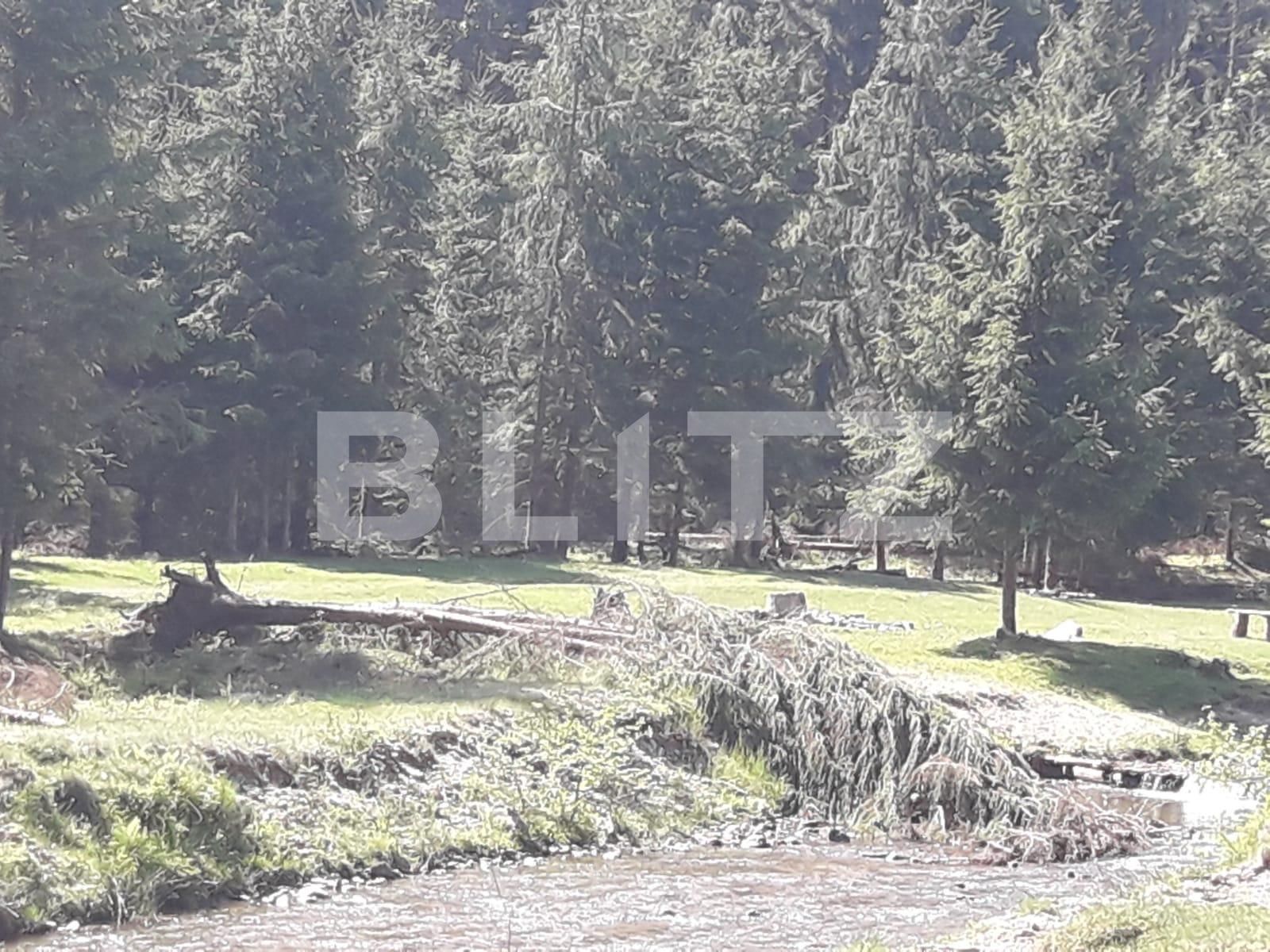 Teren de vânzare Exterior Vest - 34656TV | BLITZ Cluj-Napoca | Poza13