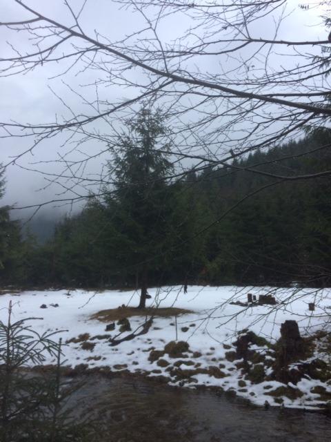 Teren de vânzare Exterior Vest - 34656TV | BLITZ Cluj-Napoca | Poza10