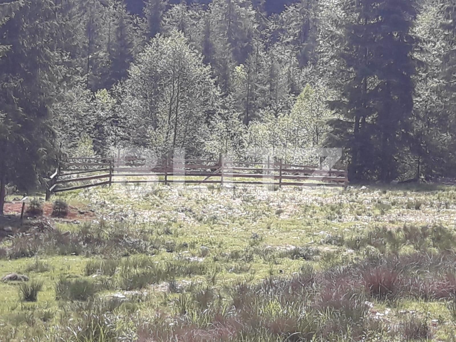 Teren de vânzare Exterior Vest - 34656TV | BLITZ Cluj-Napoca | Poza15