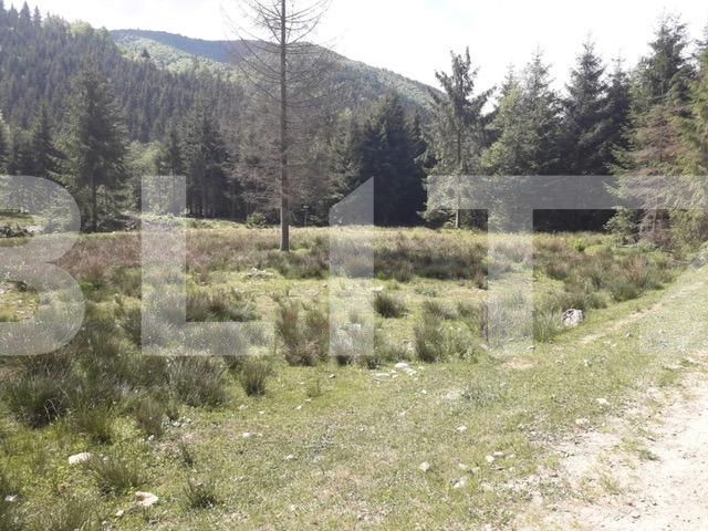 Teren de vânzare Exterior Vest - 34656TV | BLITZ Cluj-Napoca | Poza5