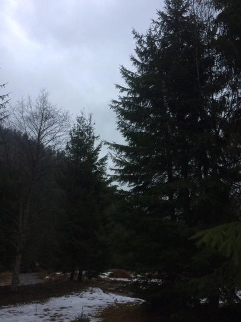 Teren de vânzare Exterior Vest - 34656TV | BLITZ Cluj-Napoca | Poza3