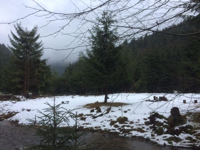 Teren de vânzare Exterior Vest - 34656TV | BLITZ Cluj-Napoca | Poza11