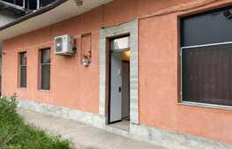 Apartament 2 camere cu gradina, proaspat renovat, AC,50mp, zona USAMV, Centru