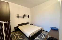 Apartament 2 camere cu gradina, proaspat renovat, AC,50mp, zona USAMV, Centru