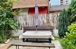 Apartament 2 camere cu gradina, proaspat renovat, AC,50mp, zona USAMV, Centru