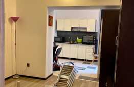 Apartament 2 camere cu gradina, proaspat renovat, AC,50mp, zona USAMV, Centru