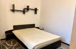 Apartament 2 camere cu gradina, proaspat renovat, AC,50mp, zona USAMV, Centru