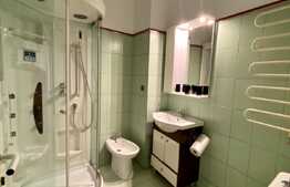 Apartament 2 camere cu gradina, proaspat renovat, AC,50mp, zona USAMV, Centru