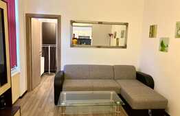 Apartament 2 camere cu gradina, proaspat renovat, AC,50mp, zona USAMV, Centru