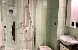 Apartament 2 camere cu gradina, proaspat renovat, AC,50mp, zona USAMV, Centru