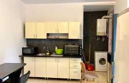 Apartament 2 camere cu gradina, proaspat renovat, AC,50mp, zona USAMV, Centru